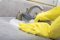 Blossom Commercial and Domestic cleaning services 352967 Image 1